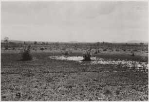 Typisches Landschaftsbild des Pantanal : 12,1 km nördlich von Aquidauana, Höhe: 190 m
