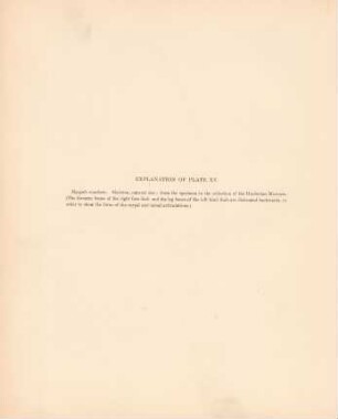 Explanation of plate XV.