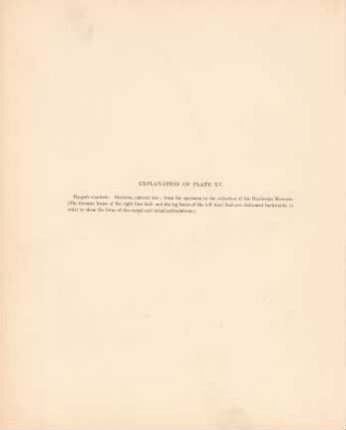 Explanation of plate XV.