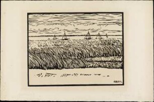 Am Saaler Bodden II