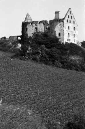 Burkheim: Schwendi-Schlossruine
