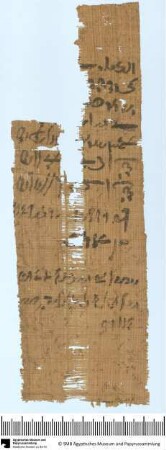 Demotischer Papyrus, Hochformatbrief (Korrespondenz Snebonychos), Zuteilung einer Sache an mehrere Personen