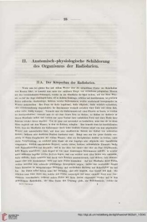II. Anatomisch-physiologische Schilderung des Organismus der Radiolarien