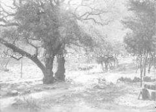 Glasdia von einer Flusslandschaft