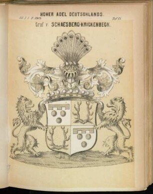 Taf. 85. Graf v: Schaesberg-Krickenbeck.