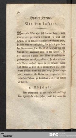 Drittes Kapitel. Von den Lastern.