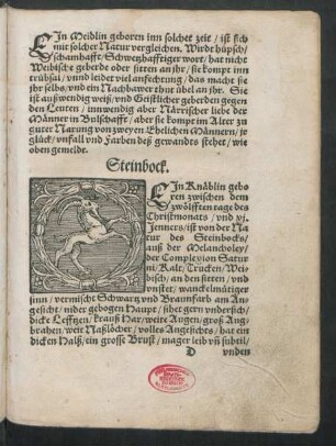 Steinbock.