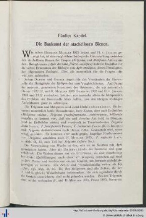 Fünftes Kapitel. Die Baukunst der stachellosen Bienen.