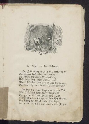 4. Vögel vor der Scheuer.