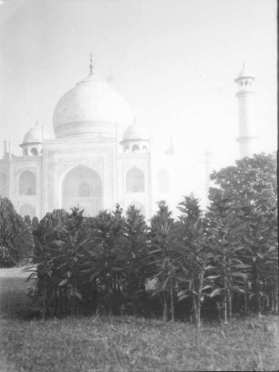 Indien. Uttar Pradesh. Agra. Taj Mahal (1631-1648)