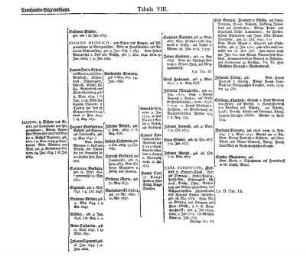 Tannhausen-Pilgramshayn. Tabula VIII.