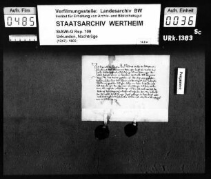 Wiprecht von Helmstatt, Ritter, und Raban von Helmstatt, Ritter, sein Bruder verzichten gegenüber Graf Johann von Wertheim auf alle Ansprüche, die sie gegen ihn wegen Brand und Raub hatten.