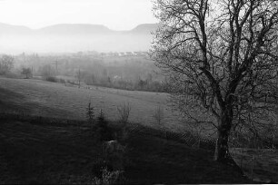 Reutlingen: Blick von der Achalm auf die Stadt und die Alb