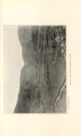 Plate LXV. Rice terraces, Kabayan village