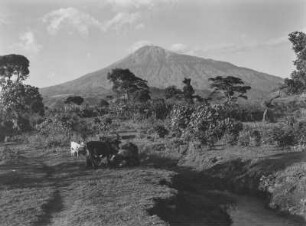 Mount Meru : Blick auf den Vulkan Mount Meru