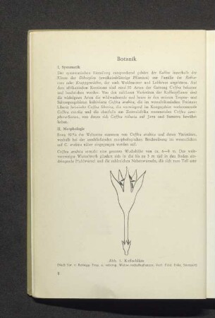 Botanik