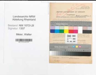 Entnazifizierung Walter Zu Eissen Meier , geb. 21.04.1903 (Angestellter)