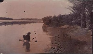 Wasser aus dem Euphrat schöpfen : Zwei Frauen schöpfen Wasser aus dem Euphrat in der Nähe der antiken Stadt Babylon.