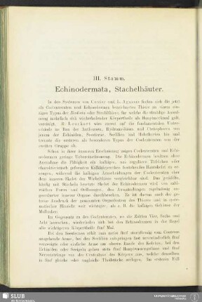 III. Stamm. Echinodermata, Stachelhäuter