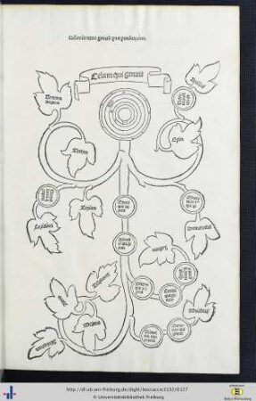 Caelum, qui genuit ... (Genealogische Tafel).
