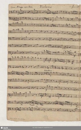 Violono