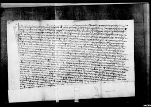 Klaus Schneider, Bürger zu Tübingen, verkauft an Joß Bemppel von Nürtingen, Chorherrn zu Herrenberg, Gülten aus einem Hof zu Altingen, die er vom Kloster Pfullingen gekauft hat, um 150 fl.