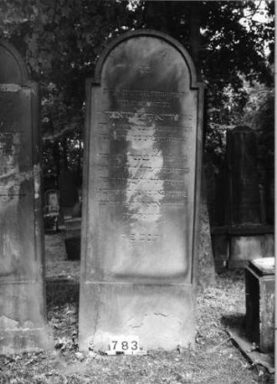 Grabstein 783 (Index: 99630285) Material: Sandstein Zustand: mittig abgeblättert, Textverlust Maße HxBxT: 181x67x11 cm Beschreibung: Stele mit eingezogenem Rundbogenabschluß, Schriftfeld eingetieft: Grabstein 783
