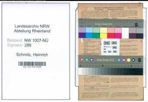 Entnazifizierung Heinrich Schmitz , geb. 17.09.1907 (Malermeister)