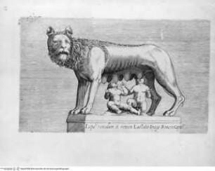 Antiquarum statuarum urbis Romae, quae in publicis privatisque locis visuntur, icones. Romae. Ex typis Laurentii Vaccarii... MDLXXXIIII., Tafel [14]: Lupae romulum et remum Lactatis Imago Romae in Capito[lio] (nach der Antike)