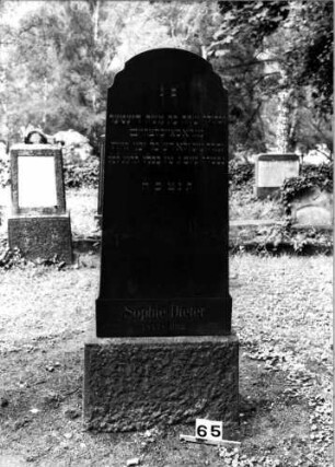 Grabstein 65 (Index: 100106132) Material: Granit Zustand: gut Maße HxBxT: 155x56x18 cm Beschreibung: Stele, Sockel, geschwungener Rundbogenabschluß: Grabstein 65