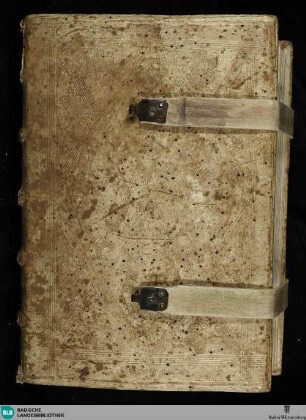 Biblia Latina - Cod. Aug. perg. 154 : cum prologis