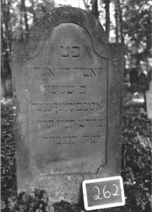 Grabstein 262 (Index: 99894649) Material: Sandstein Zustand: sehr gut Maße HxBxT: 123x65x9 cm Beschreibung: Stele mit eingezogenem Rundbogenabschluss: Grabstein 262 (2)