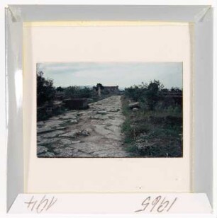 Paestum: Heilige Straße und Athenatempel (Foto 1965)