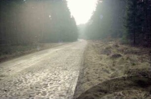 Hohenfelder Damm: rechts Kopfsteinpflaster, links Sommerweg: beiderseits Wald: hinten Straßenkurve