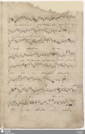 70. Alleluia / Anonymus