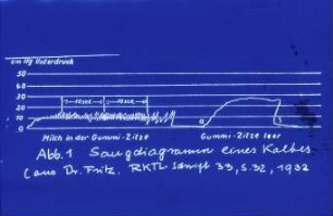 Saugdiagramm eines Kalbes (nach Fritz, RKTL-Schrift 33, S. 32, 1932)