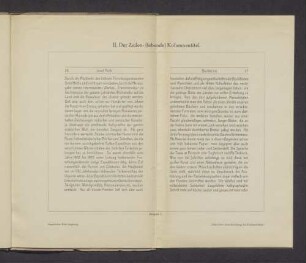 II. Der Zeilen-(lebende) Kolumnentitel.