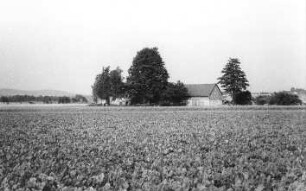 Bischofswerda-Belmsdorf. Blick zum Mühlengehöft