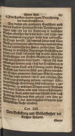 Cap. XIII. Von Bestellung und Beschaffenheit der Kirchen-Aempter.