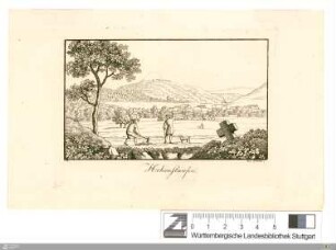 Hohenstaufen