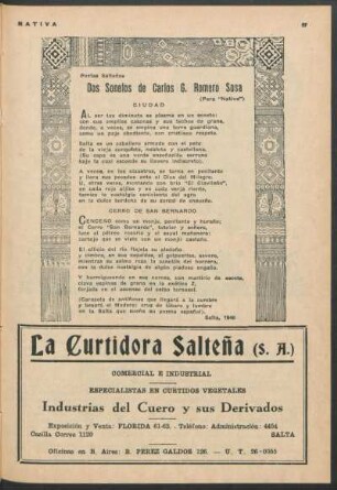 Poetas salteños - Dos sonetos de Carlos G. Romero Sosa : Ciudad [y] Cerro de San Bernardo