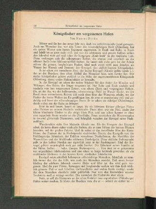 Königsfischer am vergessenen Hafen