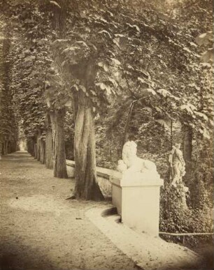 Baumallee mit Skulpturen, Schlosspark Schwetzingen?