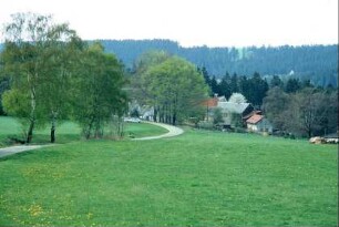 Ortseingangsstraße; beidseiitg Wiesen, einzelne Häuser