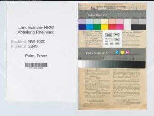 Entnazifizierung Franz Palm, geb. 18.06.1890 (Postinspektor)