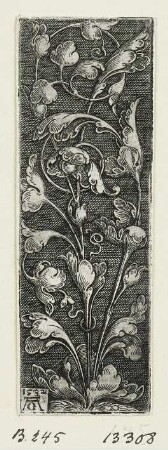 Ornament mit Laubwerk