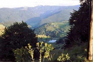 Schauinsland: Feldberg mit Schneehaube; vom Schauinsland