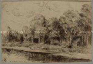 Flusslandschaft in der Tucheler Heide an der Brahe