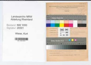 Entnazifizierung Kurt Wiese, geb. 29.04.1905 (Arzt)