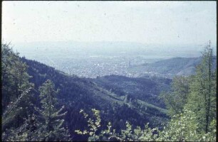 Blick auf Freiburg